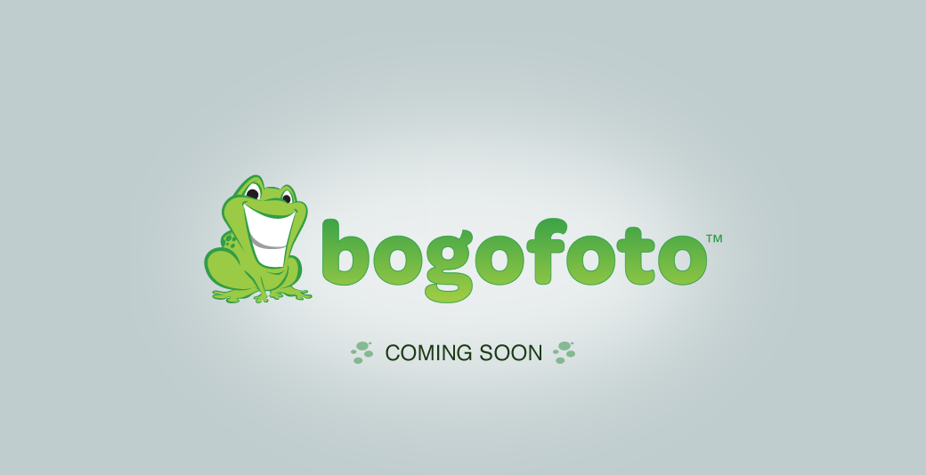 Bogofoto Coming Soon!